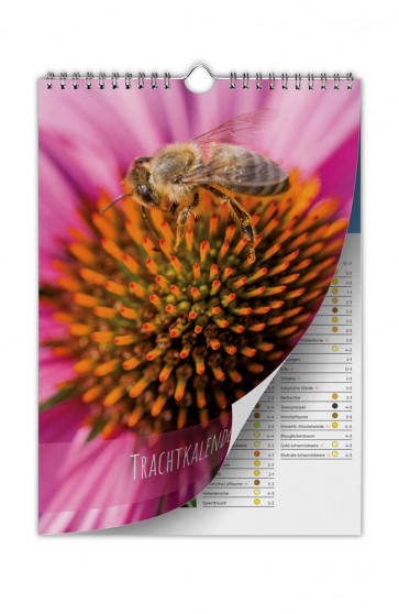 Trachtkalender Sonnenhut - Deckblatt