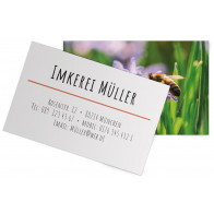 Visitenkarten "Blausternchen"