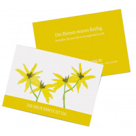 Werbepostkarten „Floral“