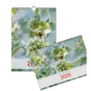 Deckblatt Bienenkalender 2025