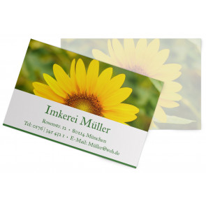 Visitenkarten "Sun-Power" dunkelgrün