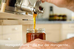 Abf&uuml;llen von Honig in ein Honigglas