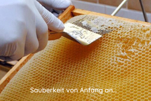 Hygiene in der Imkerei von Anfang an Entdeckeln der Honigwaben mit der Honiggabel